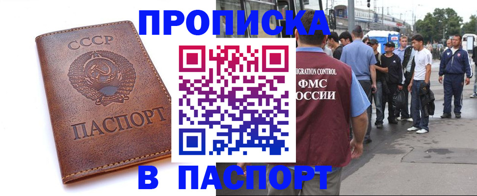 временная регистрация поиск в Балтийске